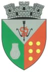 Coat of arms of Săveni