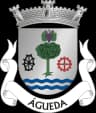 Wappen von Freguesia de Águeda