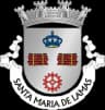 Wappen von Santa Maria de Lamas