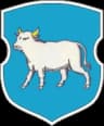 Wappen von Sapotskіn
