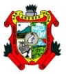 Coat of arms of San Andrés Tuxtla