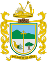 Coat of arms of Andes
