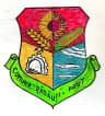Coat of arms of Rădăuți-Prut