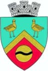 Wappen von Amara
