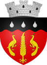 Coat of arms of Ștefănești