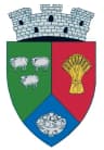 Wappen von Căzănești