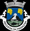 Coat of arms of Madalena