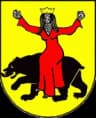 Wappen von Sawin
