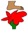 Coat of arms of Pisaflores