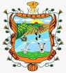 Coat of arms of Pánuco