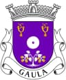 Wappen von Gaula