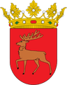 Coat of arms of Goizueta