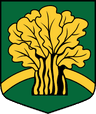 Coat of arms of Dzelzava Parish