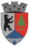 Wappen von Dărmănești