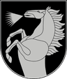Wappen von Radviliškis