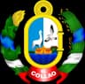 Coat of arms of Ilave
