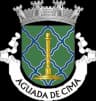 Wappen von Aguada de Cima
