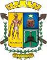 Coat of arms of Acarigua