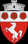 Wappen von Căiuți