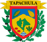 Coat of arms of Tapachula Municipality