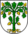 Wappen von Rinnthal