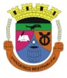 Wappen von Frederico Westphalen