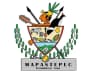 Coat of arms of Mapastepec