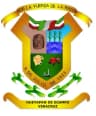 Coat of arms of Hueyapan de Ocampo