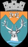 Coat of arms of Novaci
