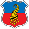 Coat of arms of Copiapó