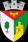 Coat of arms of Babadag