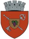 Coat of arms of Huși