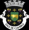 Wappen von Vale de Cambra