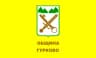 Coat of arms of Gurkovo