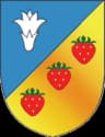 Coat of arms of Dvarec