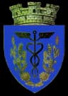 Wappen von Țăndărei