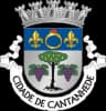 Coat of arms of Cantanhede