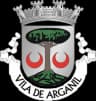 Coat of arms of Arganil