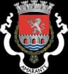 Wappen von Amarante