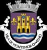 Coat of arms of Montemor-o-Velho