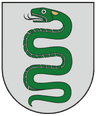 Coat of arms of Vyžuonos