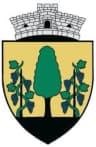 Wappen von Vama