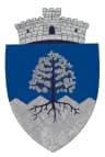 Coat of arms of Telciu