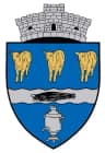 Coat of arms of Somova