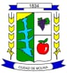 Coat of arms of Molina City