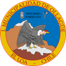 Coat of arms of Ollagüe