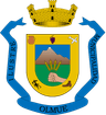 Coat of arms of Olmué