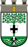 Coat of arms of Buer