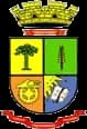 Wappen von Passo Fundo