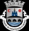 Wappen von Montemor-o-Novo